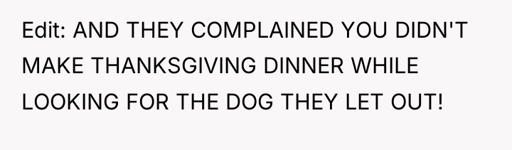 Edit: AND THEY COMPLAINED YOU DIDN'T MAKE THANKSGIVING DINNER WHILE...
