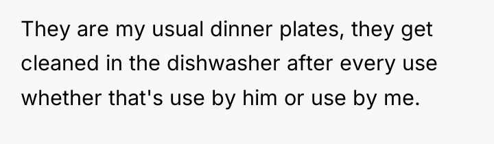 They are my usual dinner plates, they get cleaned in...