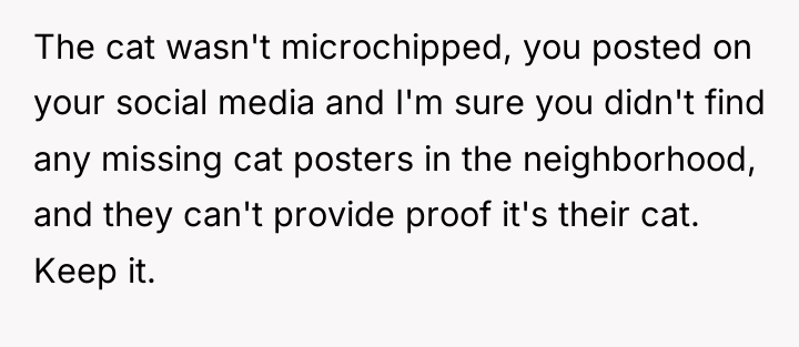 The cat wasn't microchipped, you posted on your social media...
