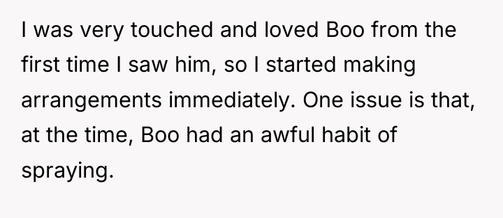 I was very touched and loved Boo from the first...