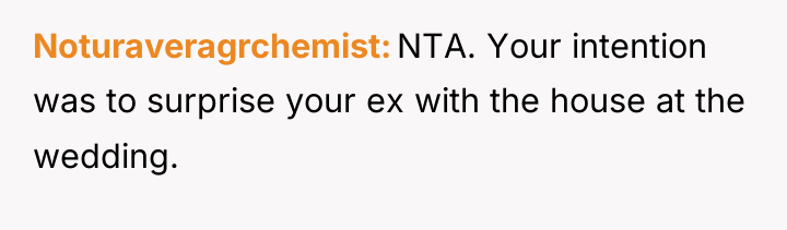 Noturaveragrchemist NTA. Your intention was to surprise your ex with...