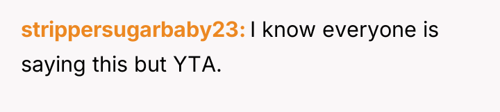 strippersugarbaby23 I know everyone is saying this but YTA.