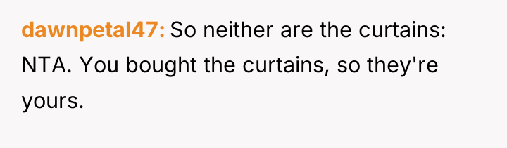 dawnpetal47 So neither are the curtains: NTA. You bought the...