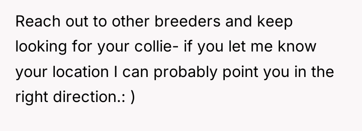 Reach out to other breeders and keep looking for your...