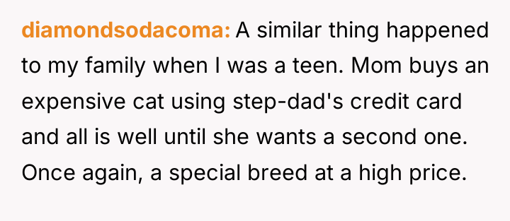 diamondsodacoma A similar thing happened to my family when I...