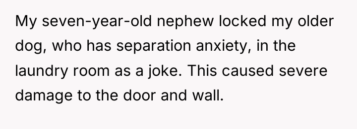 My seven-year-old nephew locked my older dog, who has separation...