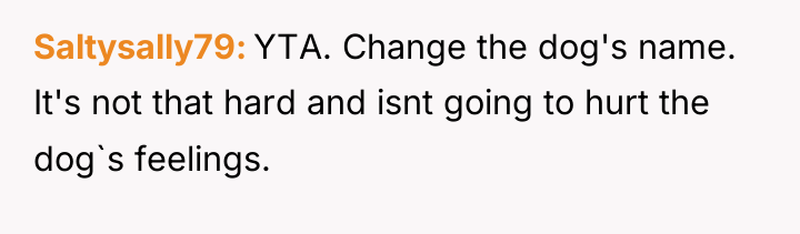 Saltysally79 YTA. Change the dog's name. It's not that hard...