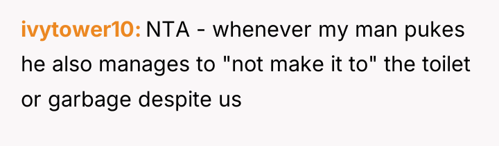 ivytower10 NTA - whenever my man pukes he also manages...
