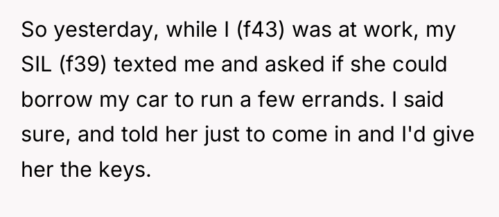So yesterday, while I (f43) was at work, my SIL...