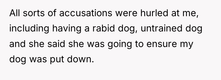 All sorts of accusations were hurled at me, including having...