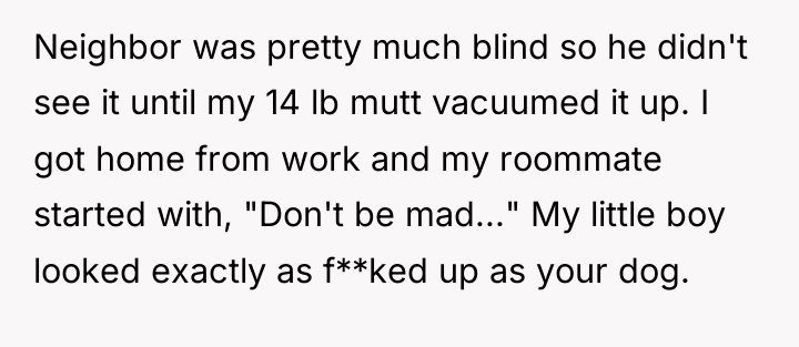 Neighbor was pretty much blind so he didn't see it...