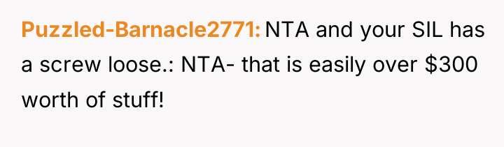 Puzzled-Barnacle2771 NTA and your SIL has a screw loose.: NTA-...