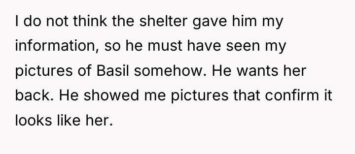 I do not think the shelter gave him my information,...