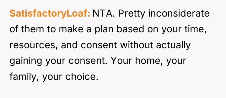 SatisfactoryLoaf NTA. Pretty inconsiderate of them to make a plan...