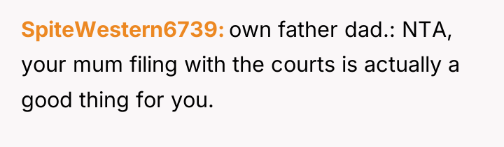 SpiteWestern6739 own father dad.: NTA, your mum filing with the...