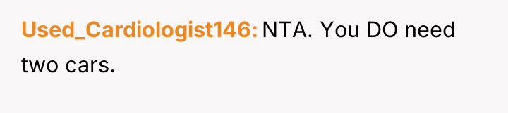 Used_Cardiologist146 NTA. You DO need two cars.