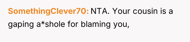 SomethingClever70 NTA. Your cousin is a gaping a*shole for blaming...