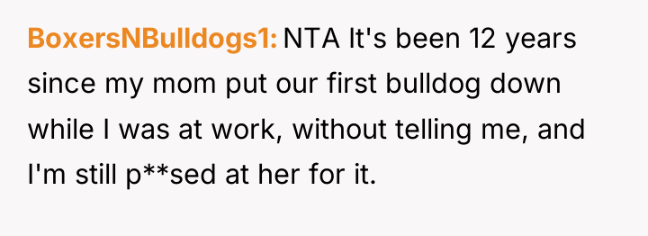 BoxersNBulldogs1 NTA It's been 12 years since my mom put...