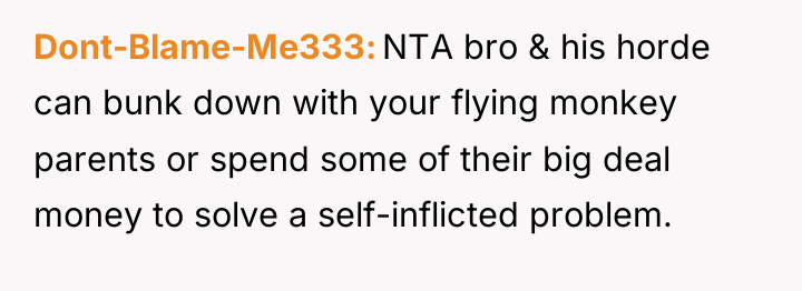 Dont-Blame-Me333 NTA bro & his horde can bunk down with...