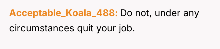 Acceptable_Koala_488 Do not, under any circumstances quit your job.