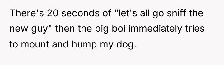 There's 20 seconds of "let's all go sniff the new...