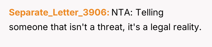 Separate_Letter_3906 NTA: Telling someone that isn't a threat, it's a...