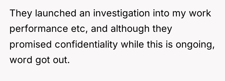 They launched an investigation into my work performance etc, and...