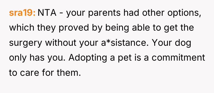 sra19 NTA - your parents had other options, which they...
