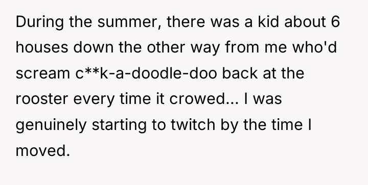 During the summer, there was a kid about 6 houses...