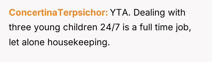 ConcertinaTerpsichor YTA. Dealing with three young children 24/7 is a...
