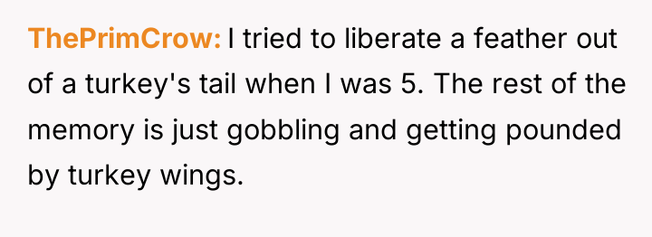 ThePrimCrow I tried to liberate a feather out of a...