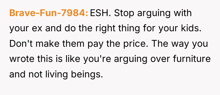 Brave-Fun-7984 ESH. Stop arguing with your ex and do the...