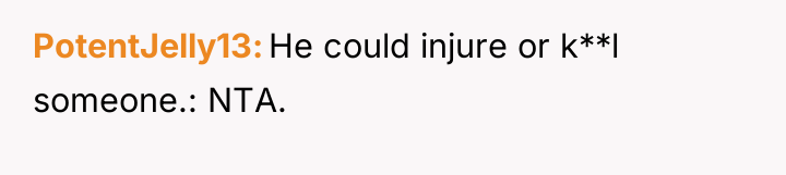 PotentJelly13 He could injure or k**l someone.: NTA.