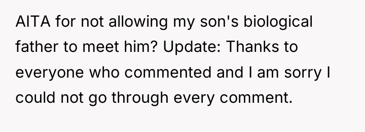 AITA for not allowing my son's biological father to meet...