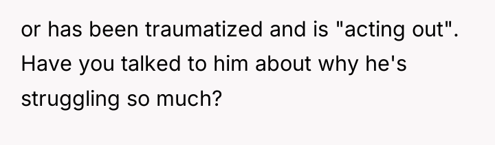 or has been traumatized and is "acting out". Have you...
