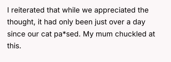 I reiterated that while we appreciated the thought, it had...