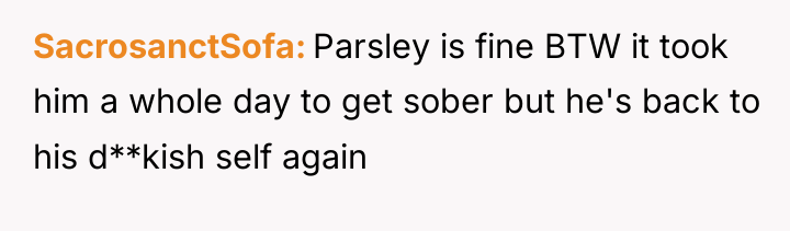 SacrosanctSofa Parsley is fine BTW it took him a whole...