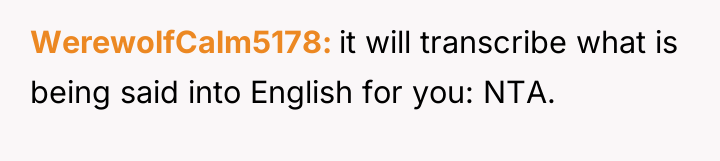 WerewolfCalm5178 it will transcribe what is being said into English...