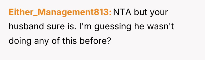 Either_Management813 NTA but your husband sure is. I'm guessing he...