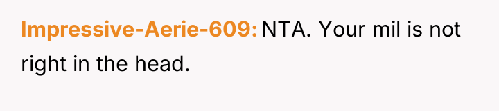Impressive-Aerie-609 NTA. Your mil is not right in the head.