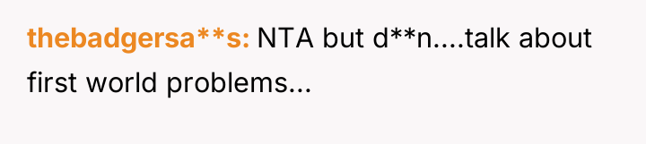 thebadgersa**s NTA but d**n....talk about first world problems...
