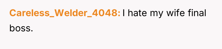 Careless_Welder_4048 I hate my wife final boss.
