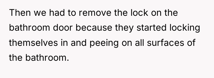 Then we had to remove the lock on the bathroom...