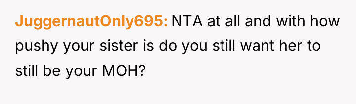 JuggernautOnly695 NTA at all and with how pushy your sister...