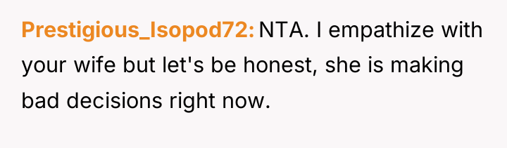 Prestigious_Isopod72 NTA. I empathize with your wife but let's be...