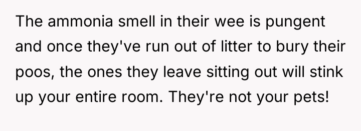The ammonia smell in their wee is pungent and once...