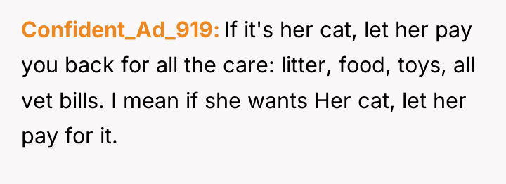 Confident_Ad_919 If it's her cat, let her pay you back...