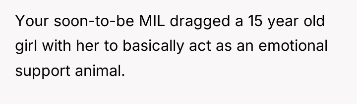 Your soon-to-be MIL dragged a 15 year old girl with...