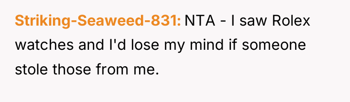 Striking-Seaweed-831 NTA - I saw Rolex watches and I'd lose...