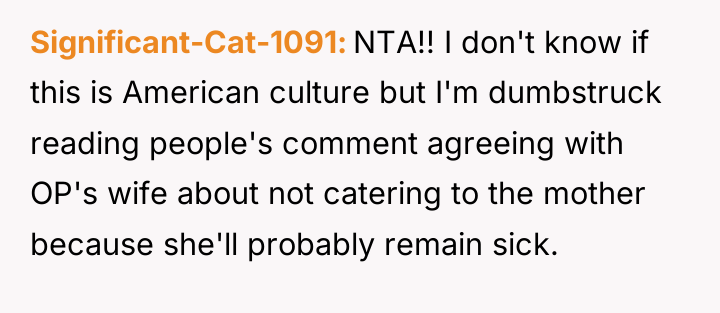 Significant-Cat-1091 NTA!! I don't know if this is American culture...